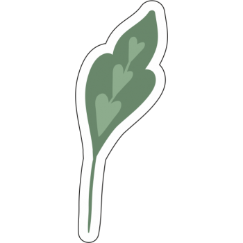 Sticker autocolant Frunza verde cu inima