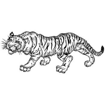 Sticker autocolant felina tigru